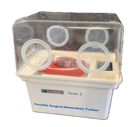 Cardiac Model with Lid